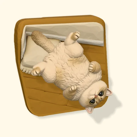 Fluffy cream cat sprawled on its back.
